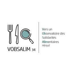 Logo VOBSALIM34